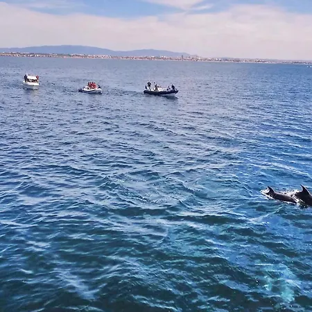 Thai By Algarve Vacation * 阿尔布费拉